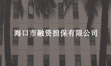 ?？谑腥谫Y擔保有限公司