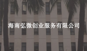 海南弘微創(chuàng  )業(yè)服務(wù)有限公司