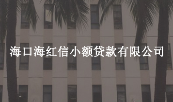 ?？诤＜t信小額貸款有限公司